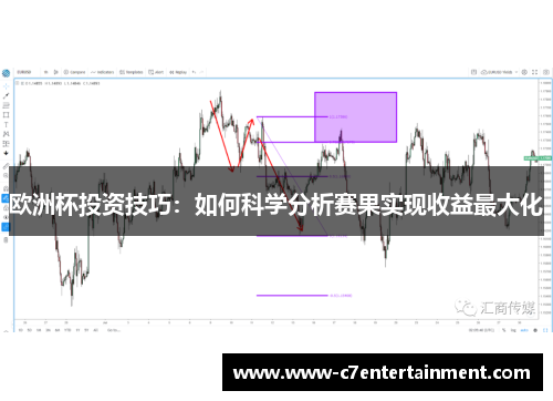欧洲杯投资技巧：如何科学分析赛果实现收益最大化