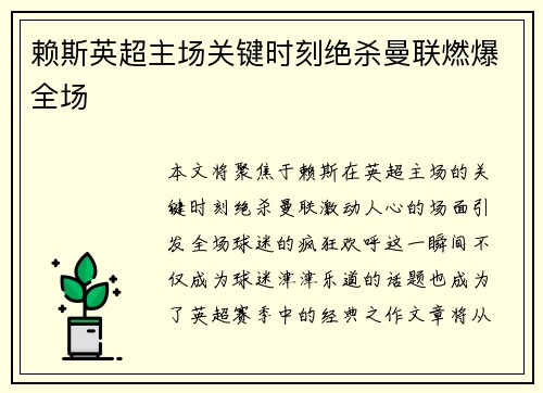 赖斯英超主场关键时刻绝杀曼联燃爆全场