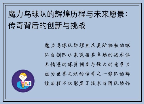 魔力鸟球队的辉煌历程与未来愿景：传奇背后的创新与挑战